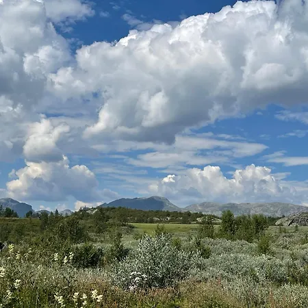 Svarthamar - With Amazing View Semesterbostad Ål