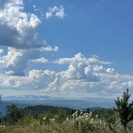 Svarthamar - With Amazing View Semesterbostad *